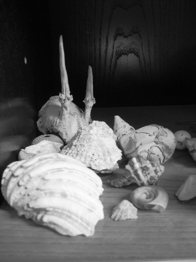 Skelety 